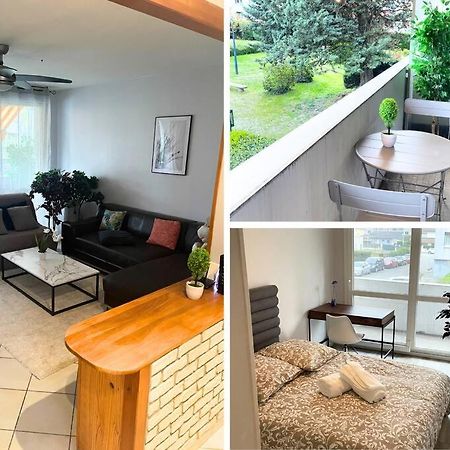 Appartement Entier Climatise - Parking Prive Saint-Martin-dʼHères エクステリア 写真