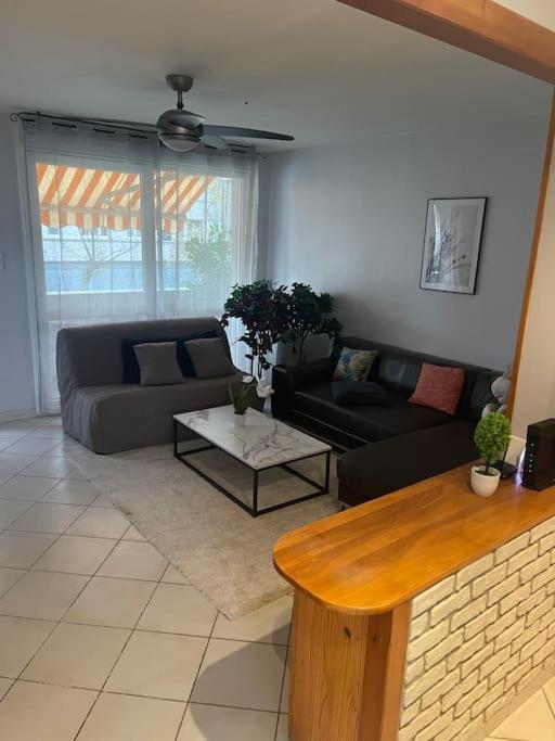 Appartement Entier Climatise - Parking Prive Saint-Martin-dʼHères エクステリア 写真